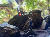 หุบป่าตาด ป่าดึกดำบรรพ์