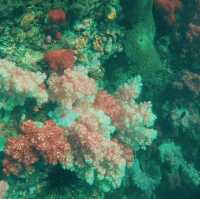 ไปเป็นชาวเกาะ #เกาะหลีเป๊ะ