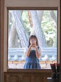 자연과 역사가 살아 숨쉬는 즐거운 여행지 영월💚 