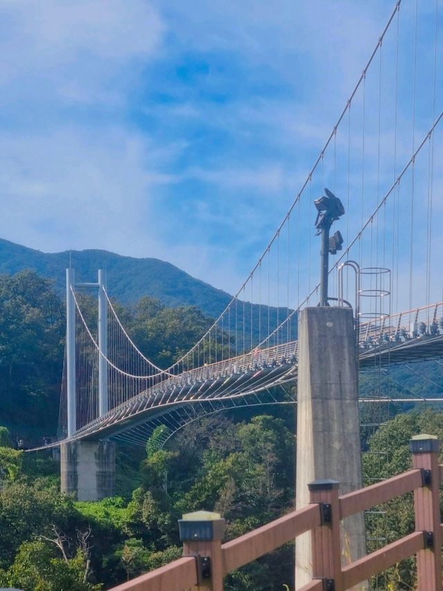 포천 하늘다리