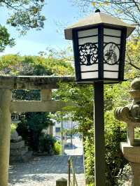 【福岡県】海神の総本社と龍の都