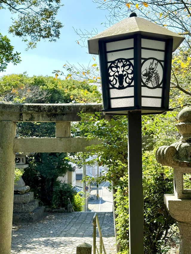 【福岡県】海神の総本社と龍の都