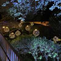 【東京/品川】庭園ライトアップとラウンジホッピングが楽しめるホテルステイ🩷