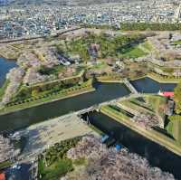 ซากุระบานสะพรั่งที่ Hakodate