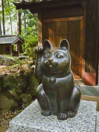 滿滿招財貓的日本豪德寺😻😻