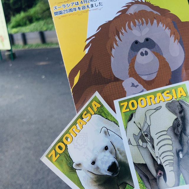 【横浜】よこはま動物園ZOORASIA - たくさんの動物が見られる国内最大級の動物園 -