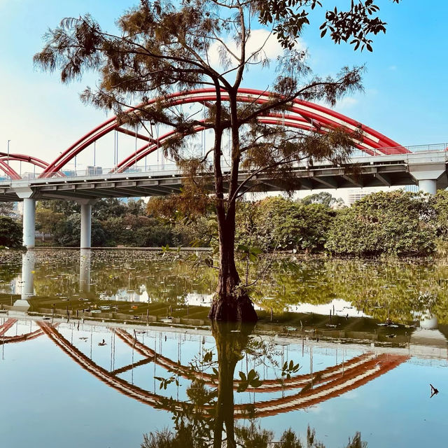 六甲落羽松森林：城市濕地中的秋色奇幻 🍁🌳