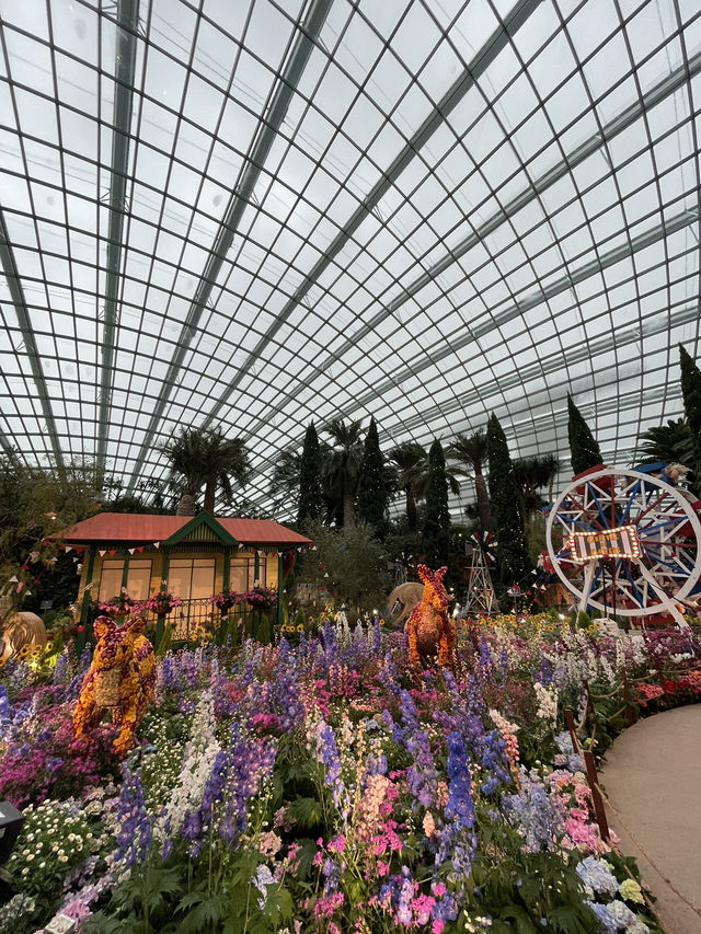 🇸🇬Join the Carnival of Flowers in Flower Dome Singapore ! 