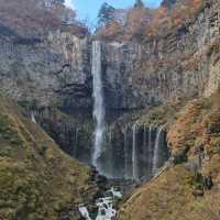 ใบไม้เปลี่ยนสี nikko