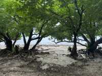 แหล่งท่องเที่ยวเชิงอนุรักษ์อุทยานใต้ทะเลเกาะขาม