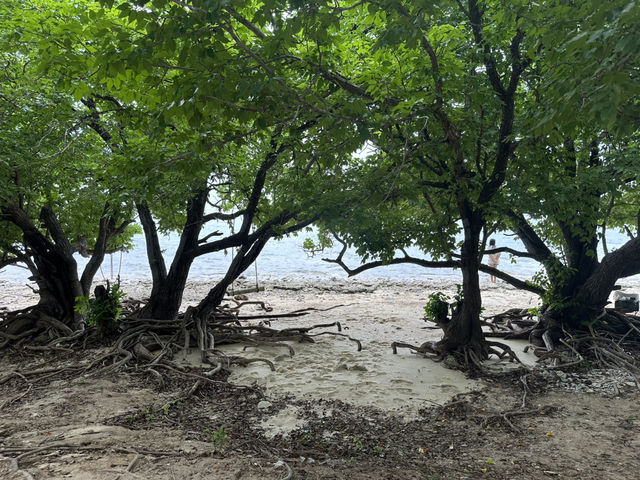 แหล่งท่องเที่ยวเชิงอนุรักษ์อุทยานใต้ทะเลเกาะขาม
