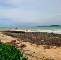 THE OXYGEN BEACH FRONT OASIS PATTAYA 