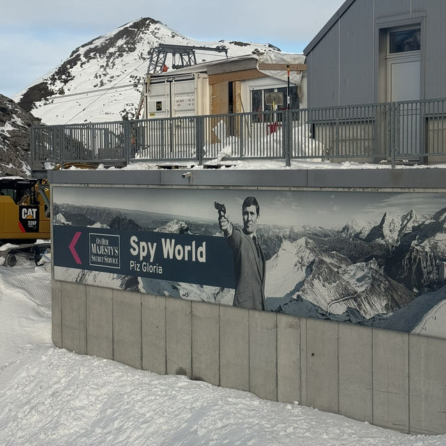 スイス　至極の5日間