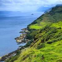 Mill Cove：海邊懸崖下的臨海瀑布 🌊🏞️
