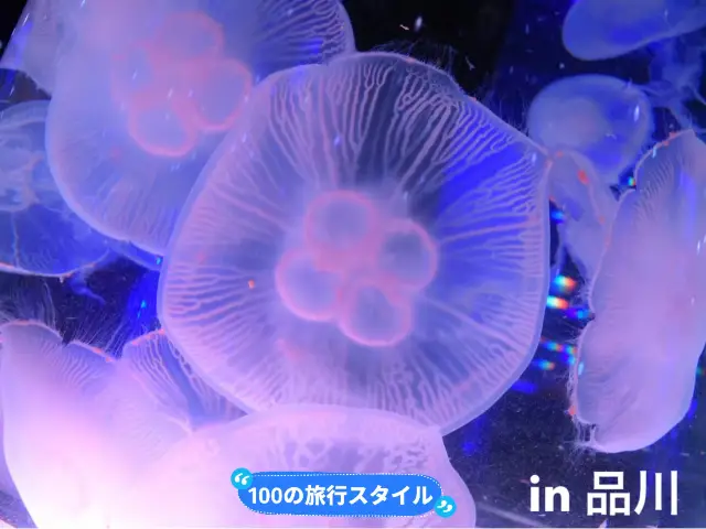 【品川】AQUA PARK 品川