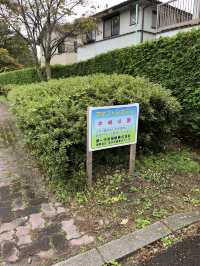 【佐久市】まるで日本庭園！？無料で楽しむ中嶋公園🌳