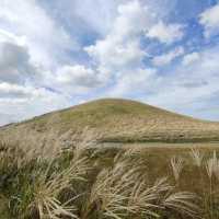🇰🇷 Whispers of Autumn: The Silver Grass at Sabyeol Oreum