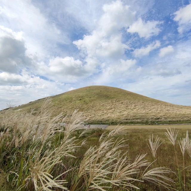 🇰🇷 Whispers of Autumn: The Silver Grass at Sabyeol Oreum