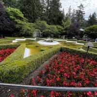 Vibrant Victorian Summer (2/2)