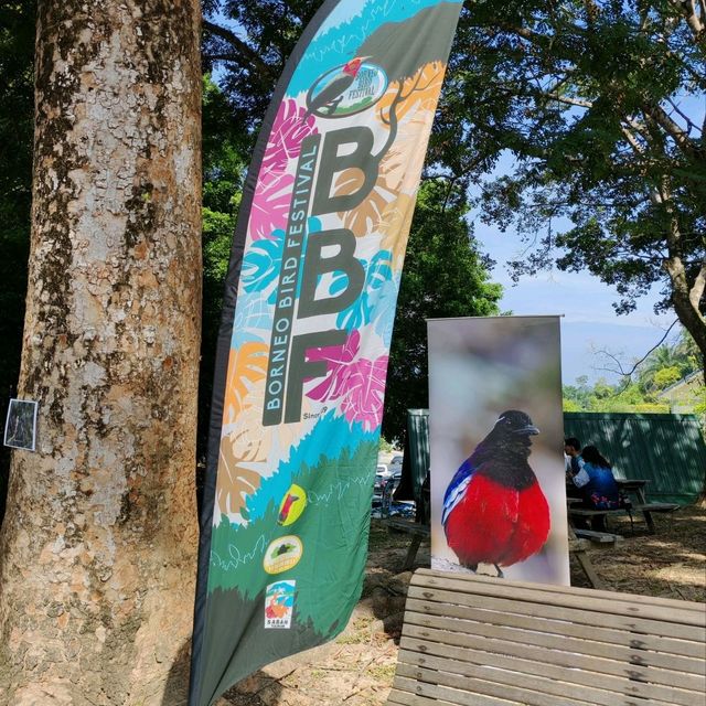 Borneo Bird Festival Sepilok Sandakan 