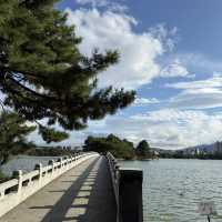 福岡行街以外既選擇 大濠公園🌿
