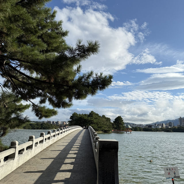 福岡行街以外既選擇 大濠公園🌿