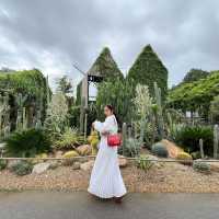คาเฟ่กาญจนบุรี •  CHAN nature cafe'🌵🌾