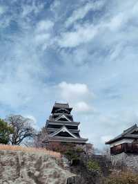 日本🇯🇵熊本｜意外發現熊本城是一個超棒的賞櫻地！千萬不要錯過進入熊本城裏面參觀