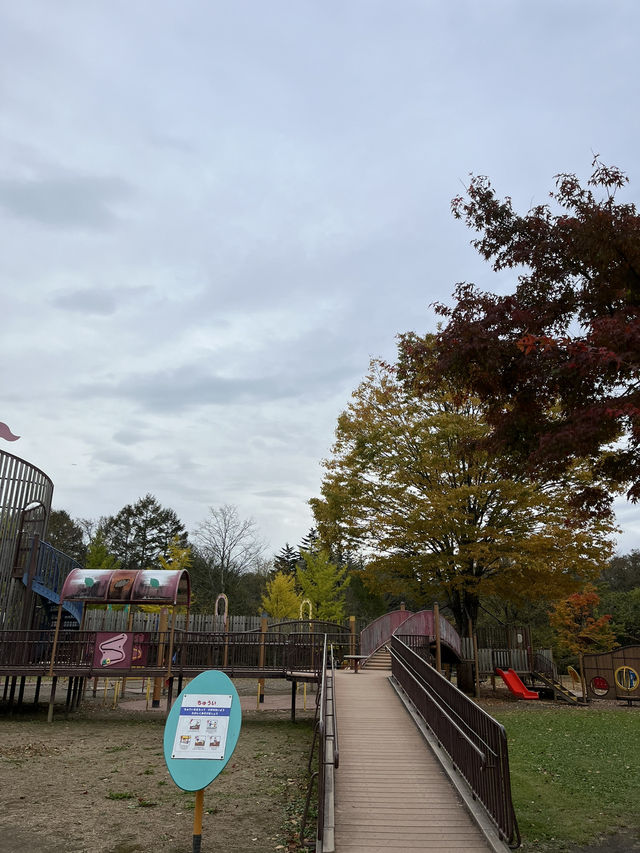 【軽井沢】遊具もターザンロープもある！紅葉が綺麗な緑地公園🍁