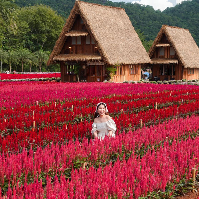 Hokkaido Flower Park Khaoyai