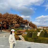 Autumn’s in Seoul South Korea 🇰🇷