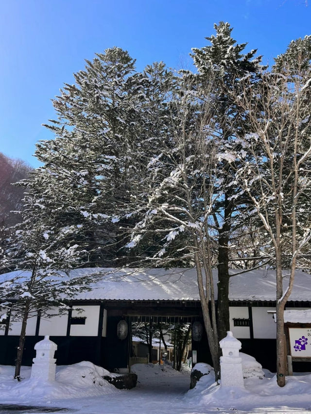 【栃木】秘境✨温泉＆ごはんが最高!!コスパ最強お宿🤍