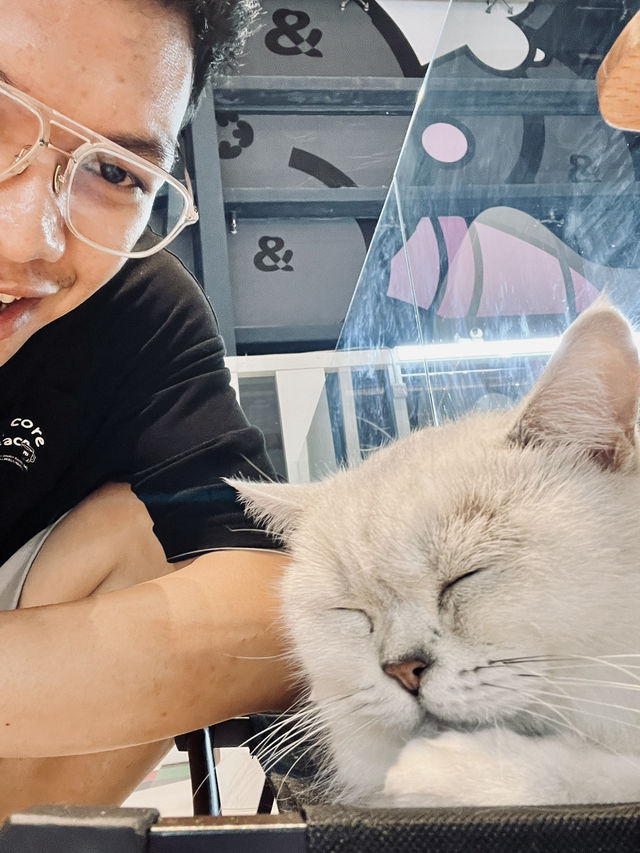Hello Shenzhen! ตะลุยกิน เล่นกะแมว 😻