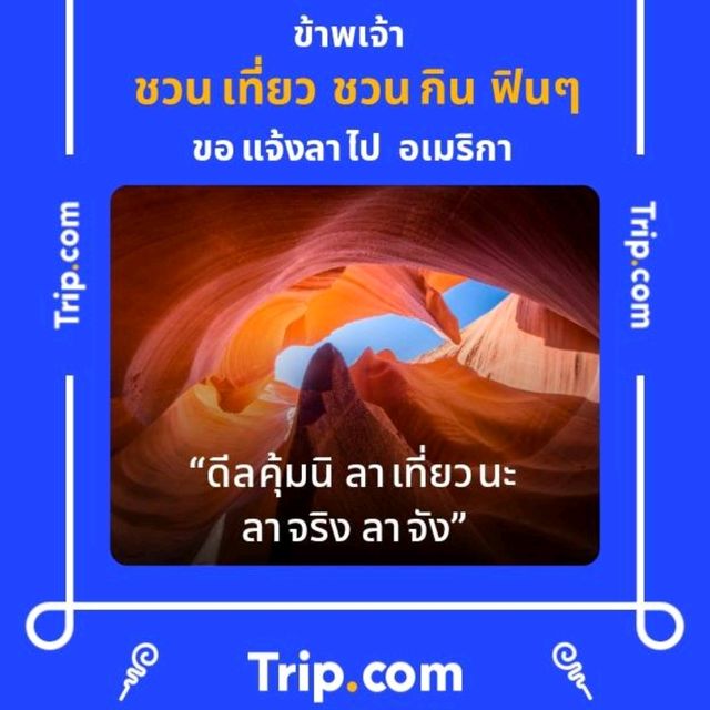 คาเฟ่ลับในป่าลึก พร้อมที่พัก : T Story - แม่กำปอง