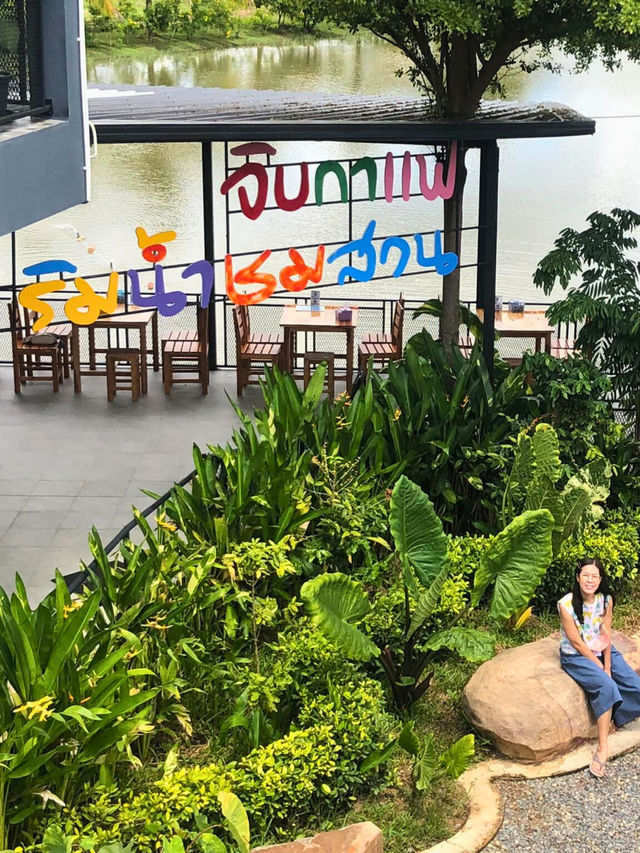 🌵 ไร่เทียนสว่างที่สุโขทัย