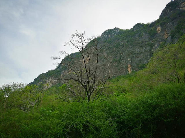  🌳🌳เพชรบุรี ไม่ได้มีแค่ทะเล  🌊🌈🌳