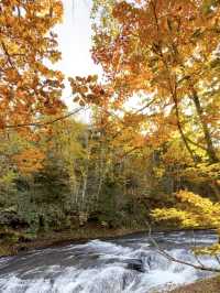 【北海道】真っ白な扇を広げたような姿にみえる