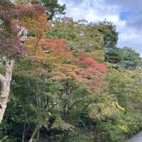 🍁 Nison-in Temple: A Peaceful Autumn Retreat in Arashiyama 🍁