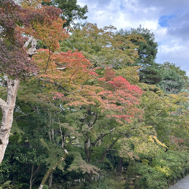 🍁 Nison-in Temple: A Peaceful Autumn Retreat in Arashiyama 🍁