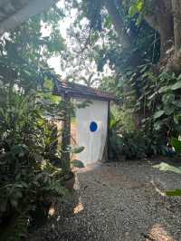 🔵 Hani creativespace ꕀ .* คาเฟ่สุดน่ารักในน่าน