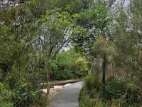 Scenic Drive Along Middle Head Road