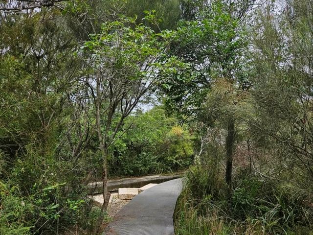 Scenic Drive Along Middle Head Road