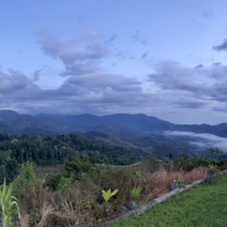 Discover the scenic YangMingShan national park