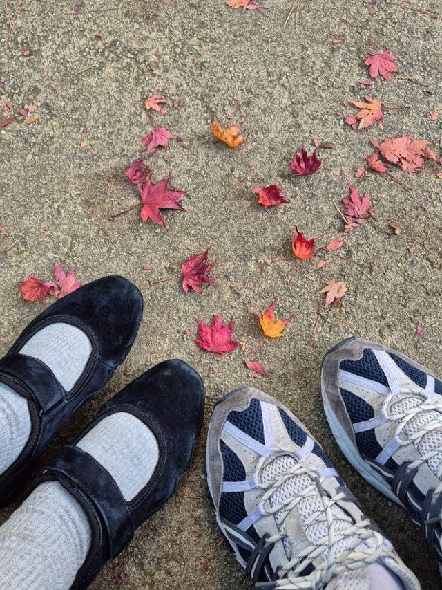 ❤️서울근교에서 가을을 느낄 수 있는 인기명소, "화담숲"❤️