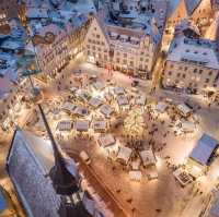 Tallinn is getting ready for Christmas! 🌲