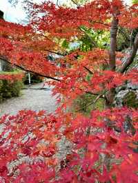 【奈良　長谷寺】