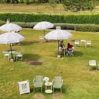 ผาม่านฝัน Pha Man Fun - คาเฟ่