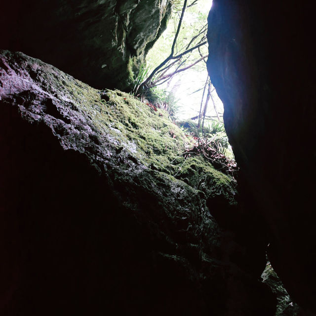 【四国】仁淀ブルーを求めて安居渓谷へ🏞