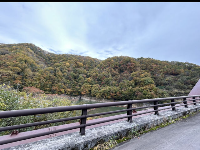 【長野市🇯🇵】長野県名勝指定！絶景が見れる奥裾花渓谷