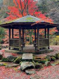 山口県古刹😊紅葉名所🍁大寧寺🍁たいねいじ